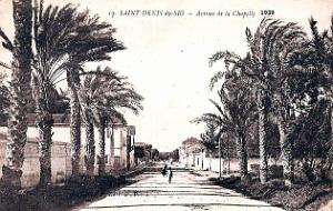 Saint-Denis-du-Sig - Avenue de la Chapelle - 1939